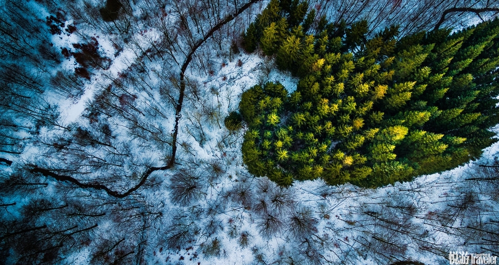 一位自然爱好者从空中俯拍了一组迷人的丹麦森林风光,美不胜收.