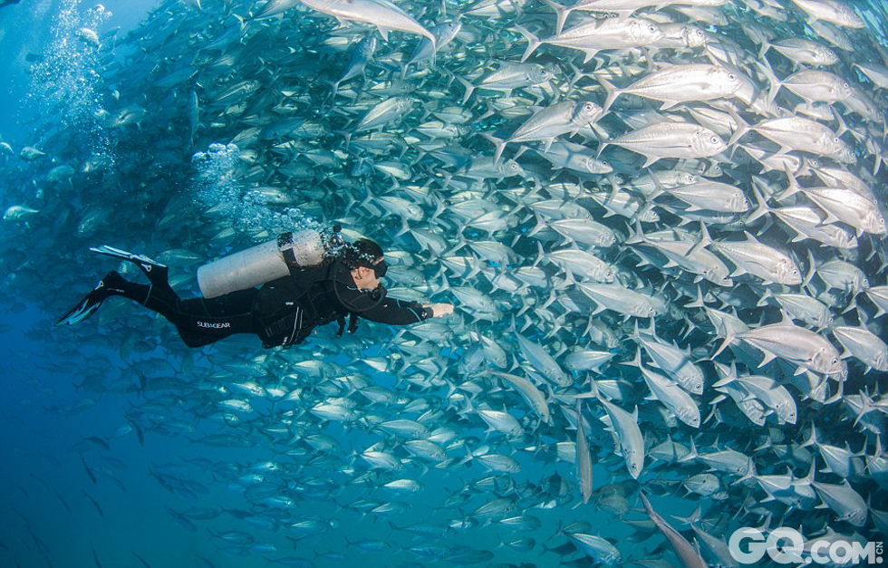 凯恩尝试用镜头拍下了妻子被上千条鱼包围的景象。