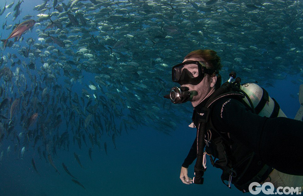 凯恩称在他20年的潜水经历中他从没亲眼见过如此壮观的鱼群。