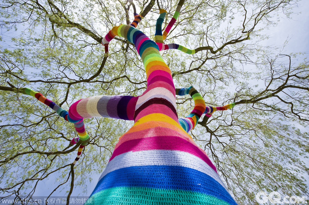 德国，一棵柳树穿上了彩色的毛衣。