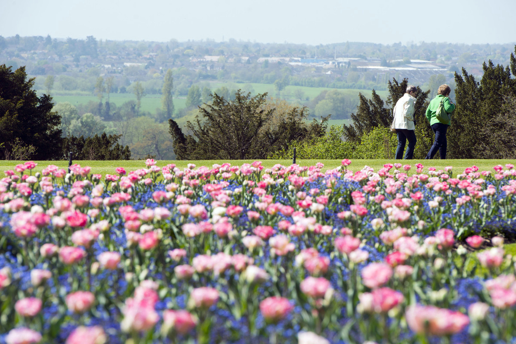 当地时间2014年4月16日，英国克莱芙顿，人们享受美好阳光，绿意盎然的花园。