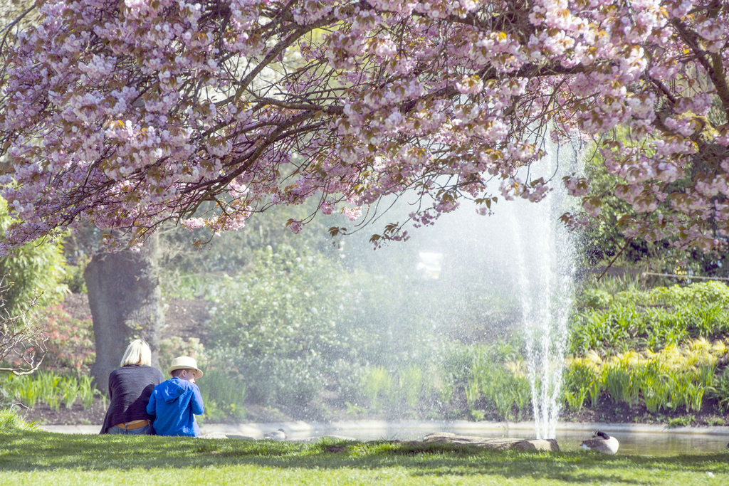 英国人享受阳光 探索春天"秘密花园"