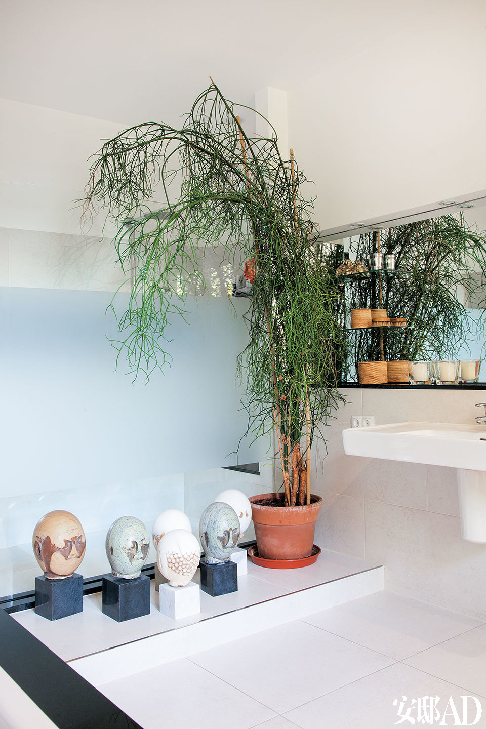 浴室里有一棵每年长势都很好的绿玉树，雕塑来自艺术家杨茂源。