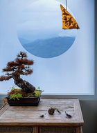 玄关处特意设置了中国园林的圆窗借景的效果，能直视户外的山景变化。明中期的木桌上摆着一个枯松盆景，上悬北齐时代的飞天石刻，以表示对来客的欢迎。