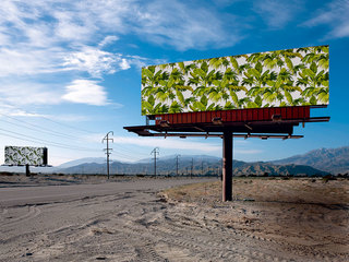 沙漠中的墻紙 Wallpaper Freedom