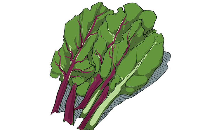 君达菜 swiss chard