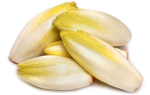 比利时菊苣(belgian endive)