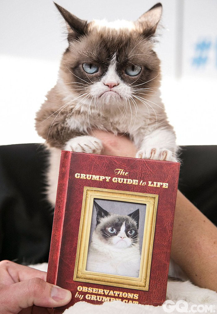 1.	据英国《每日邮报》8月13日报道，“不爽猫”(Grumpy Cat)可能是世界上最著名的猫，身价达6000万英镑（约合人民币6.157亿元）。它不仅拥有一部畅销书和一部电影的合约，其“臭脸”还出现在日历、杯子以及T恤衫上。