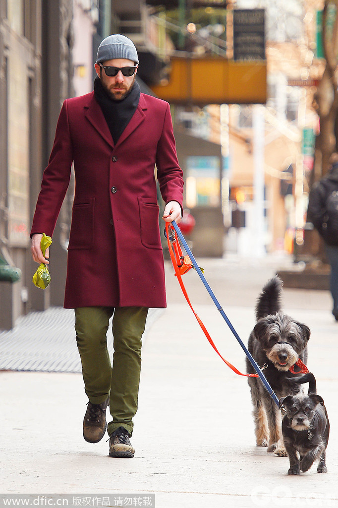 纽约当地时间12月18日，男星Zachary Quinto 被拍到在曼哈顿东区遛狗。基本款针织帽与围巾的黑灰配还算安分，然后梅红大衣与果绿直筒裤就搭出了圣诞的热闹气氛。再戴一副黑超，整体给人一种存在于电影间里式镜头中的感觉。