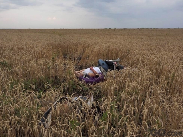 5.	7月17日，马航MH17客机在乌克兰坠毁。图中这位受害者躺在被风吹拂的麦田里，仍然被安全带绑在椅子上。这场悲剧让众多无辜生命瞬间消失，值得悼念。摄影师：杰罗姆-赛西尼（玛格南图片社）