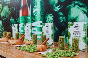 探索新征程，精釀放花招