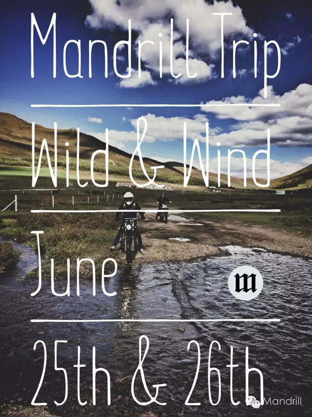 Mandrill trip 2016 - Wild & Wind