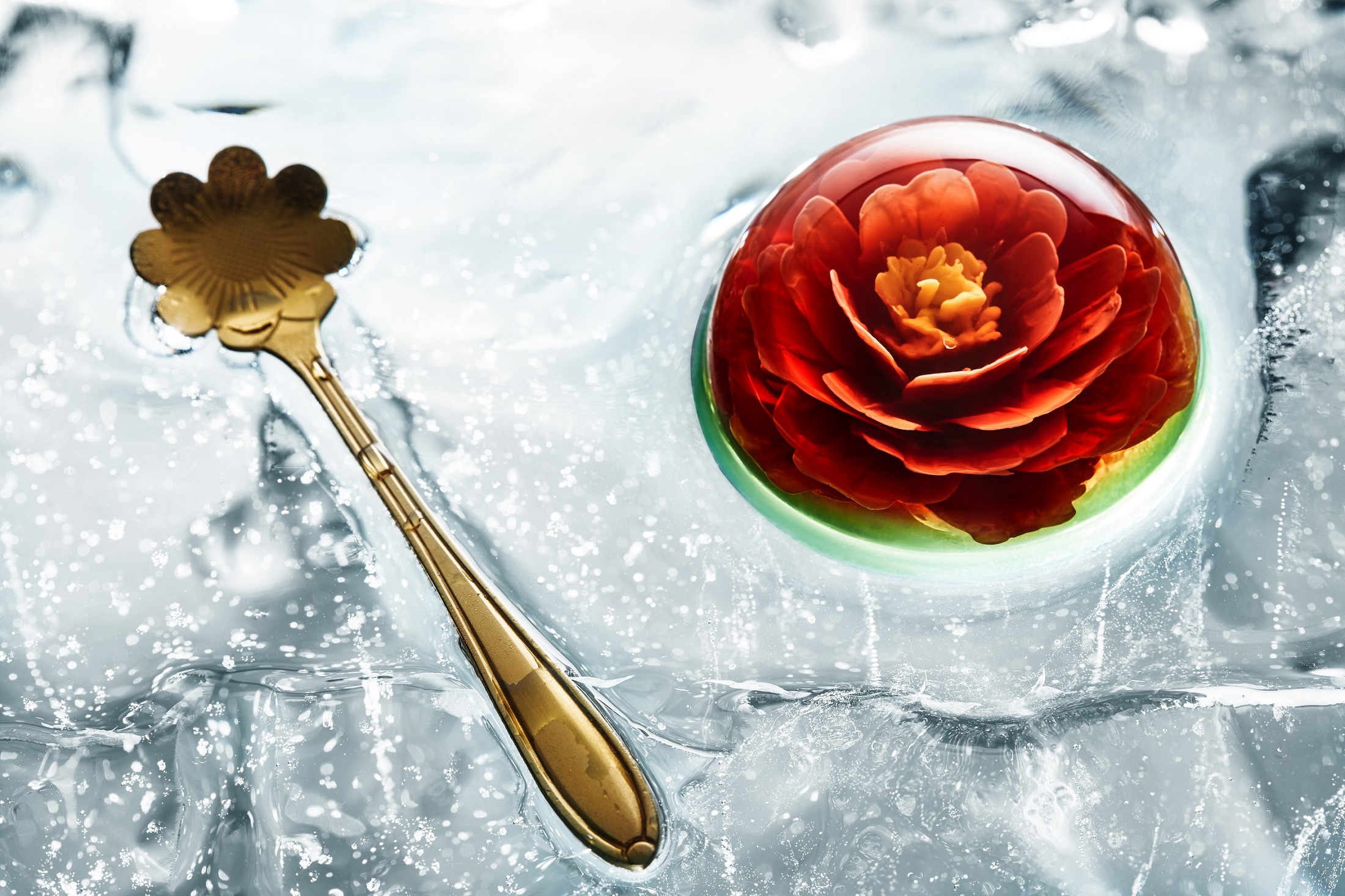 以花之名，重塑甜品界新尚 ——CHI哩首创美肌3D花果冻