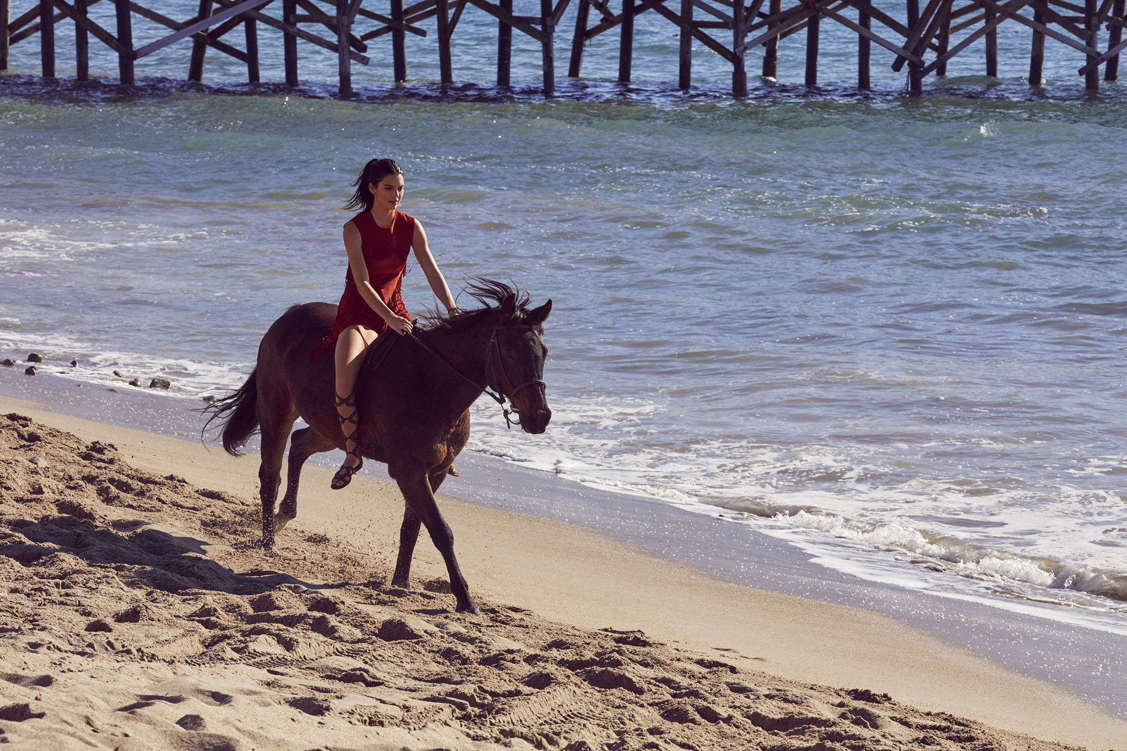 longchamp 2019年春季系列 kendall·jenner倾情出演广告大片《驰骋》