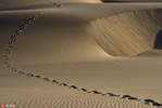 摄影师探访人烟罕至的纳米比亚沙漠 拍下遗世美景 