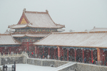 北京喜迎春雪 故宫里赏唯美雪景