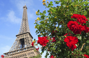 埃菲爾鐵塔是一座于1889年建成位于法國巴黎戰神廣場上的鏤空結構鐵塔，高300米，天線高24米，總高324米。...