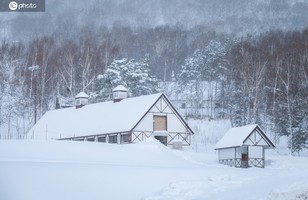 冬季的日本北海道札幌小樽城市雪景自然風光。日出時分，白雪皚皚，千里冰凍，萬里雪飄。宛如冰雪童話世界。
