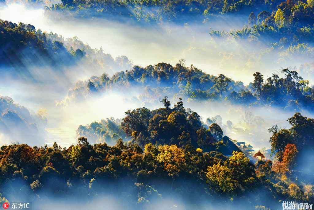 西双版纳勐海，清晨浓雾萦绕的小山村仿佛是人间仙境。雨林深处有人家。