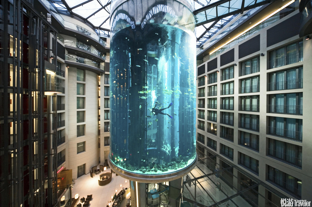 雷迪森酒店内的世界上最大圆柱形水族馆