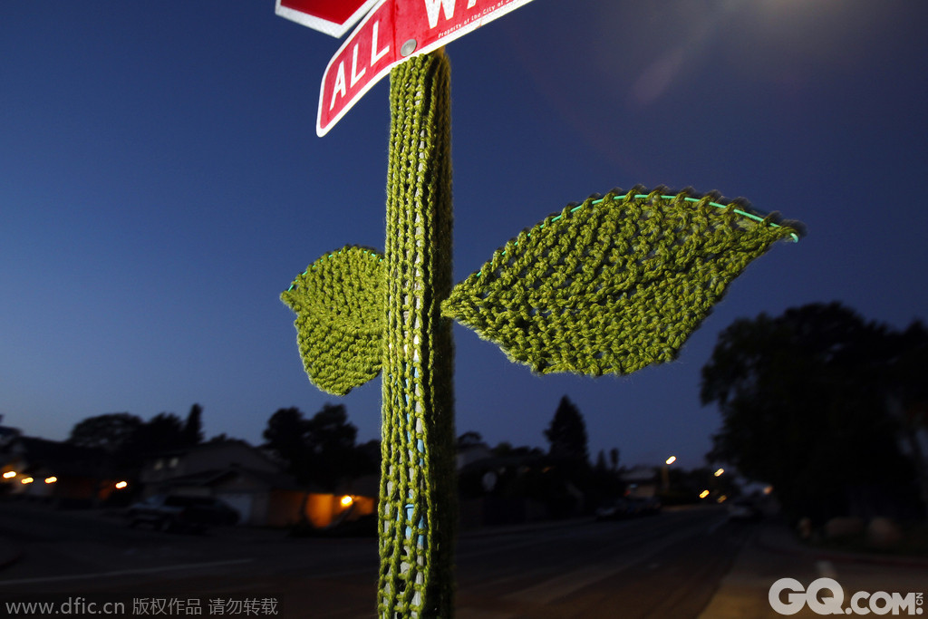 美国圣地亚哥，路边的停车路标穿上了绿色的毛衣
