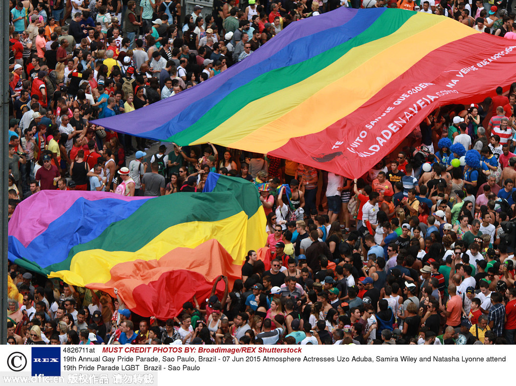 圣保罗同性恋大游行旨在提高公众对同性恋的关注，消除偏见者对同性恋的憎恶和恐惧，同时希望通过立法保护同性恋的权益，遏制攻击同性恋的行为。
