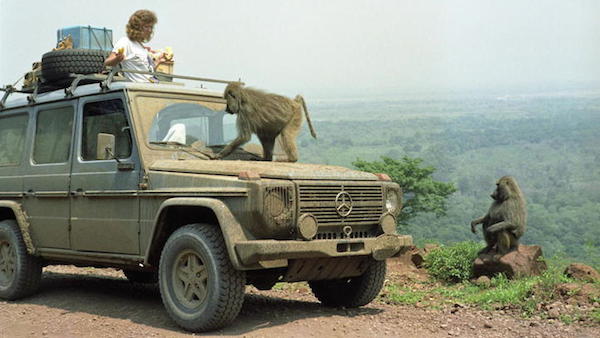 东西两德尚未统一的1988年，Gunther Holtorf 和太太 Christine计划开着一辆奔驰车在非洲大陆上度过18个月的美好时光，探索人生新的领域。两人还为自己的爱车起名为“Otto”。原本一年多的行程竟然就此持续了二十多年，从撒哈拉沙漠、肯尼亚的农村到相对较封闭的朝鲜、古巴，甚至战火纷飞的伊拉克战区都留下了两人的足迹。夫妇两人的食住行都会在Otto上完成。两人的行程也并非一帆风顺，他们也曾遇到瘟疫疾病甚至军事威胁，但这些困难都不曾使两人停下旅行的脚步。用Gunther的话来说，当你旅行的地方越多，你会发现自己经历过的事情是多么的少；当你经历过看到过的越多，就越想继续看、继续体验。2010年，Christine早一步离开了人事，Gunther带着妻子的照片将旅行继续下去，直到前不久才回到了位于德国的家乡。
二十多年来，Holtorf夫妇既没有受到任何厂商的赞助，也未曾在社交网络上晒出自己的游记，而是用自己的方式享受旅行的快乐。Gunther回到德国之后，顿时成为了媒体争相采访的对象，英国广播公司还特意为Holtorf夫妇建立了一个网页，记录他们的冒险故事。而那辆见证了爱与梦想的Otto，则由Gunther慷慨捐赠给德国斯图加特奔驰博物馆，接受人们的赞美。
　　东西两德尚未统一的1988年，Gunther Holtorf 和太太 Christine计划开着一辆奔驰车在非洲大陆上度过18个月的美好时光，探索人生新的领域。两人还为自己的爱车起名为“Otto”。原本一年多的行程竟然就此持续了二十多年，从撒哈拉沙漠、肯尼亚的农村到相对较封闭的朝鲜、古巴，甚至战火纷飞的伊拉克战区都留下了两人的足迹。夫妇两人的食住行都会在Otto上完成。两人的行程也并非一帆风顺，他们也曾遇到瘟疫疾病甚至军事威胁，但这些困难都不曾使两人停下旅行的脚步。用Gunther的话来说，当你旅行的地方越多，你会发现自己经历过的事情是多么的少;当你经历过看到过的越多，就越想继续看、继续体验。2010年，Christine早一步离开了人事，Gunther带着妻子的照片将旅行继续下去，直到前不久才回到了位于德国的家乡。

　　二十多年来，Holtorf夫妇既没有受到任何厂商的赞助，也未曾在社交网络上晒出自己的游记，而是用自己的方式享受旅行的快乐。Gunther回到德国之后，顿时成为了媒体争相采访的对象，英国广播公司还特意为Holtorf夫妇建立了一个网页，记录他们的冒险故事。而那辆见证了爱与梦想的Otto，则由Gunther慷慨捐赠给德国斯图加特奔驰博物馆，接受人们的赞美。

　　也许有人好奇，Holtorf夫妇二十多年来的环球旅行的总共费用?Gunther为大家算了一笔账，将通货膨胀考虑进去大概共计花费45万欧元，按照目前的汇率计算约为人民币3500865元。
