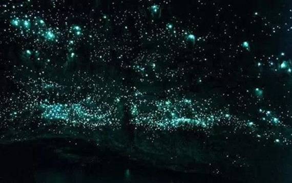 位于新西兰的怀卡托的怀托摩溶洞地区,由各式的钟乳石和石笋以及萤火虫来点缀装饰。成千上万的萤火虫在岩洞内熠熠生辉,灿若繁星。怀托摩洞这一特点也形象的称之为“萤火虫洞”。