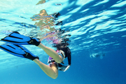 在沙巴的东海岸，有一处潜水天堂名叫仙本那，在马来语中意为“完美”。全球投票选出的十大潜水胜地之一诗...