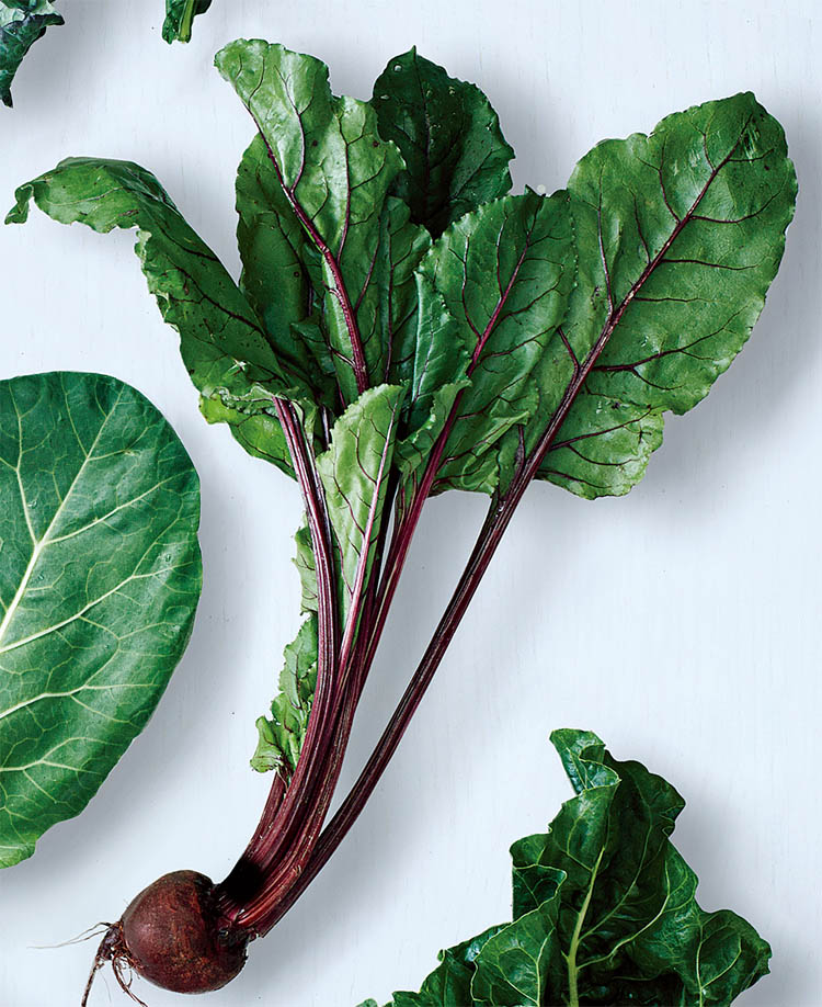 绿叶蔬菜健康指南