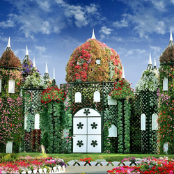 迪拜建世界最大花园奇迹花园耗4500万株鲜花