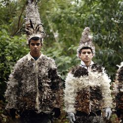 巴拉圭小镇“鸟人大会” 庆祝圣弗朗西斯科-索拉诺节 