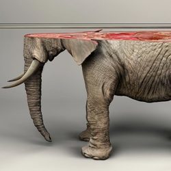 无可替代！“3D打印”呼吁关注濒危物种
