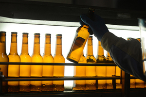 科学破除“啤酒肚”谣言适量饮用啤酒为健康加分