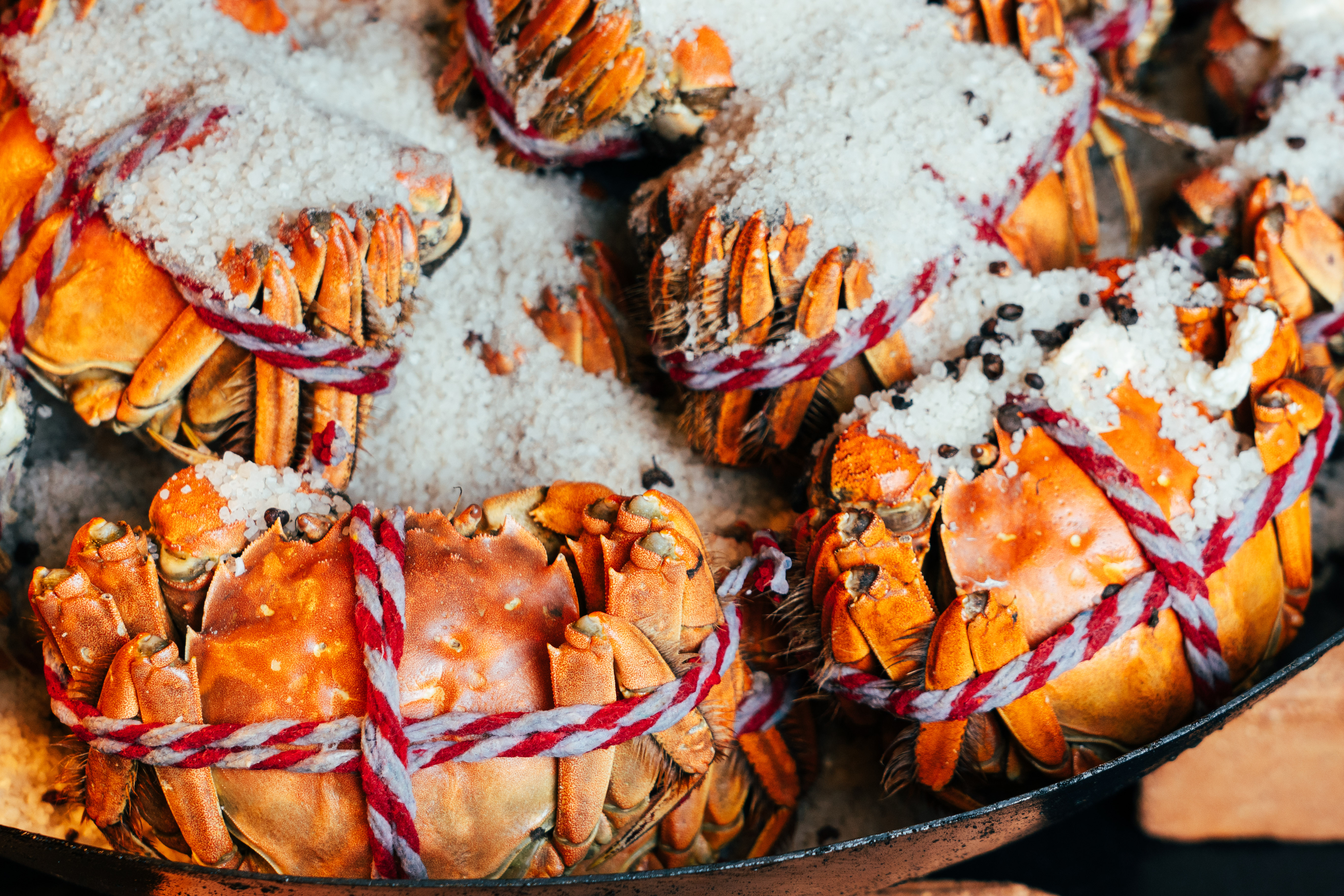 盐焗蟹 & 干式熟成肉时令海鲜各式肉食 &肉食铺
