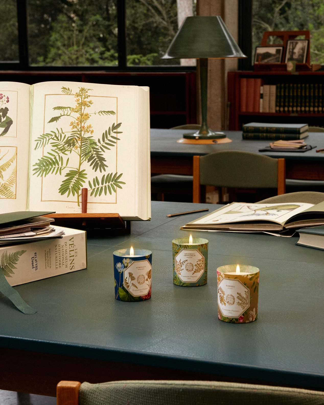 Carrière Frères x 法国国家自然历史博物馆“博物馆系列”限量香氛蜡烛，把植物带回家_品牌新闻_潮流服饰频道_VOGUE时尚网